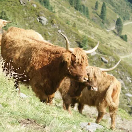 Kraftquelle Herrnmuhle Bramberg am Wildkogel